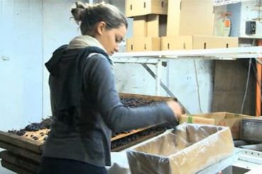 madec-national-harvest-lis